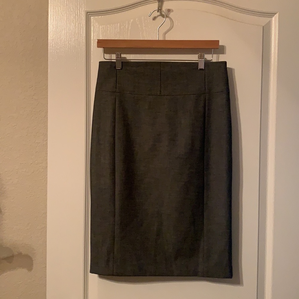 Express Pencil Skirt